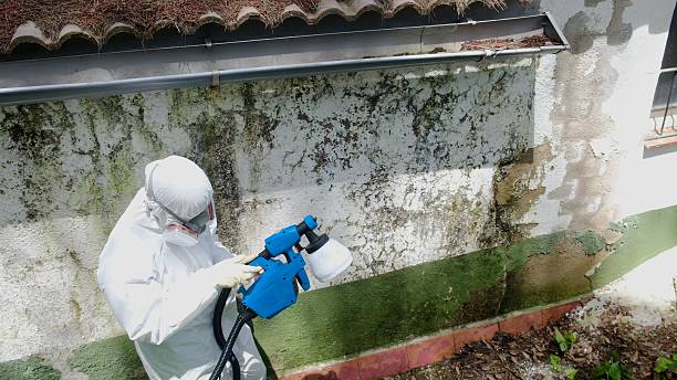 Trusted Commercial Mold Remediation service in Medfield, MA - Cheap Mold Removal